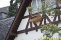 DSC07267