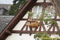 DSC08383